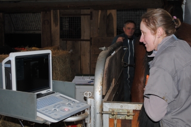 Premier examen gynécologique de la saison 2017